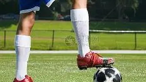 大乐透期号专家质合分析：火箭前区十码推荐